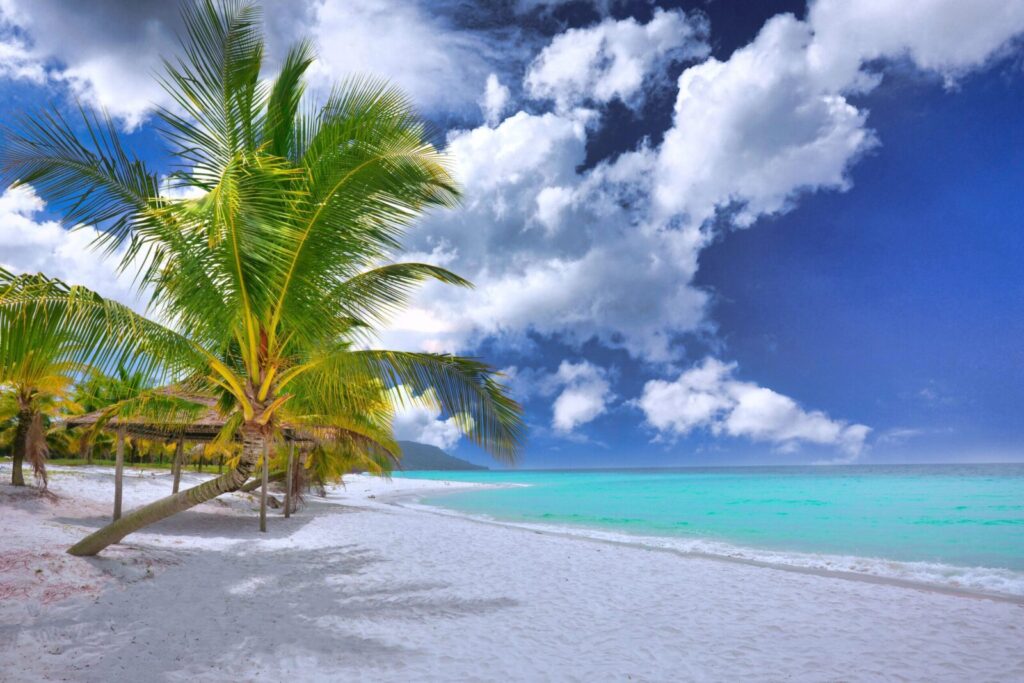 Breathtaking tropical beach scene in Sihanoukville with palm trees, white sand, and turquoise water.